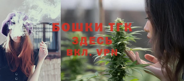 альфа пвп Нязепетровск