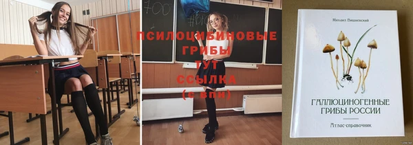 альфа пвп Нязепетровск