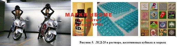 спиды Няндома