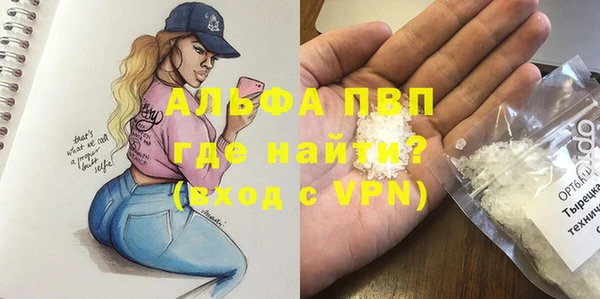 спиды Няндома