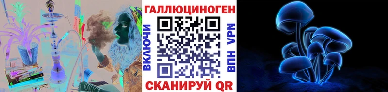 наркошоп  Свирск  Псилоцибиновые грибы Psilocybe 